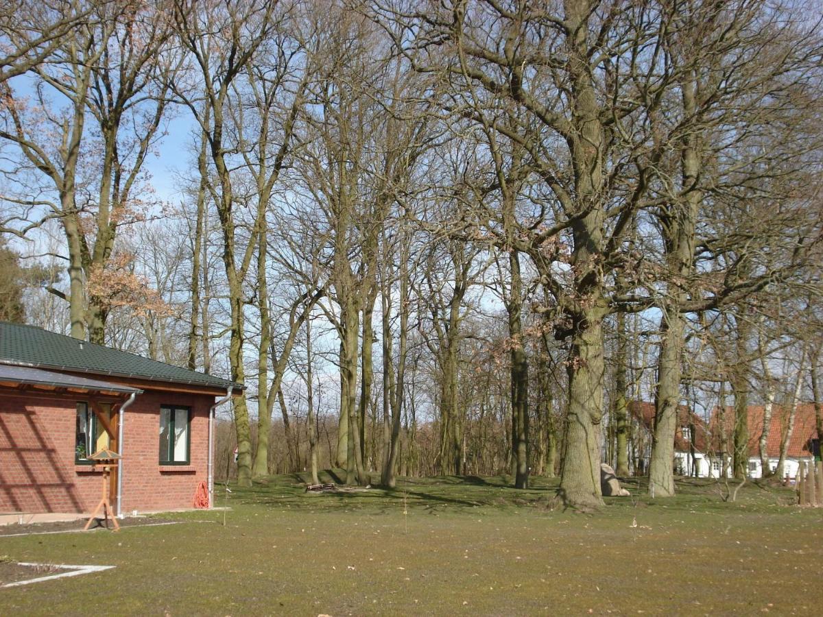 Peaceful Apartment In Zarnewanz Near Baltic Sea Zewnętrze zdjęcie